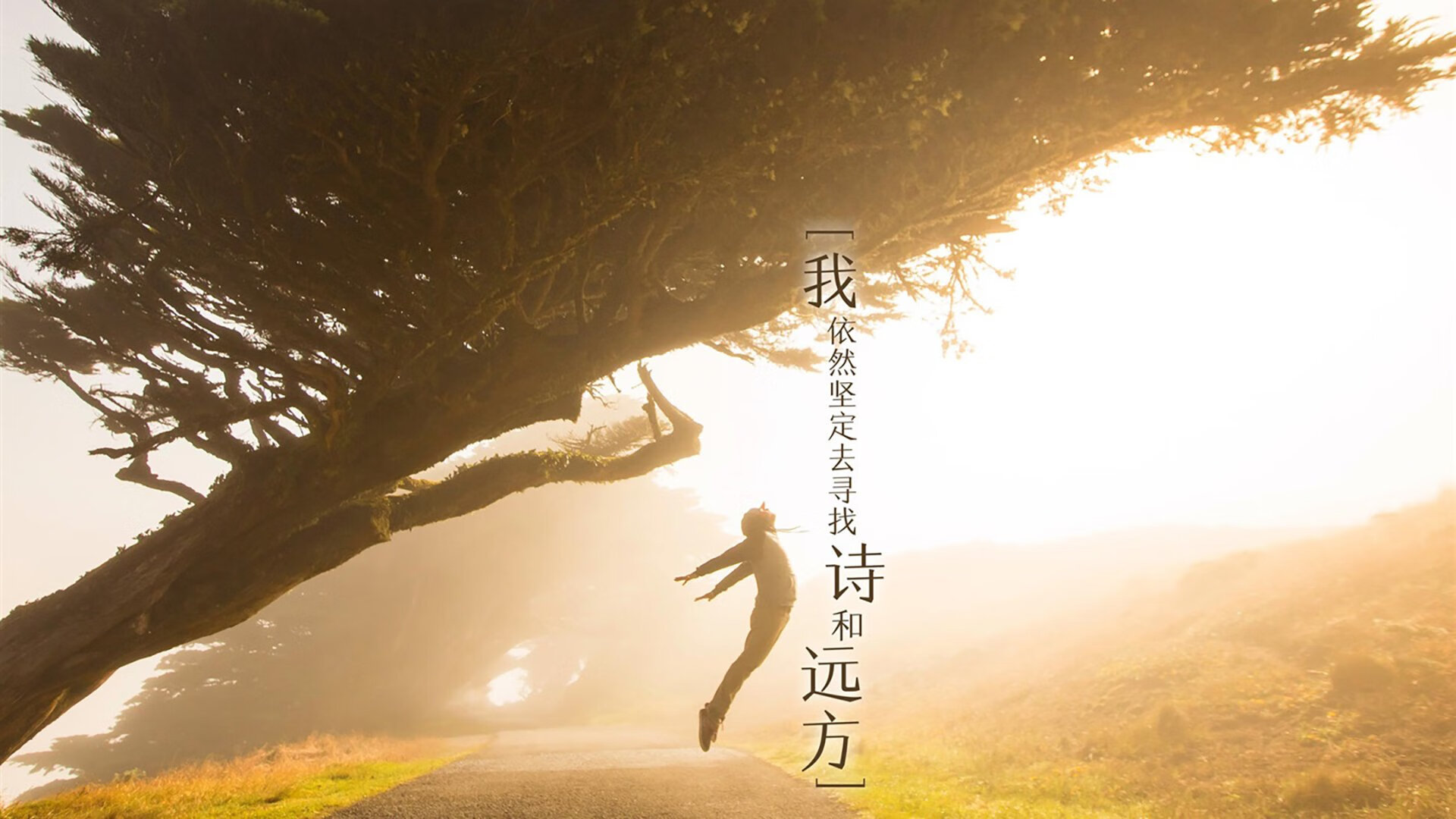 英雄联盟赛季MVP评选标准引发争议，英雄联盟mvp次数排名