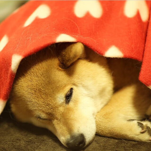 运动员训练数据分析系统，运动员数据分析软件