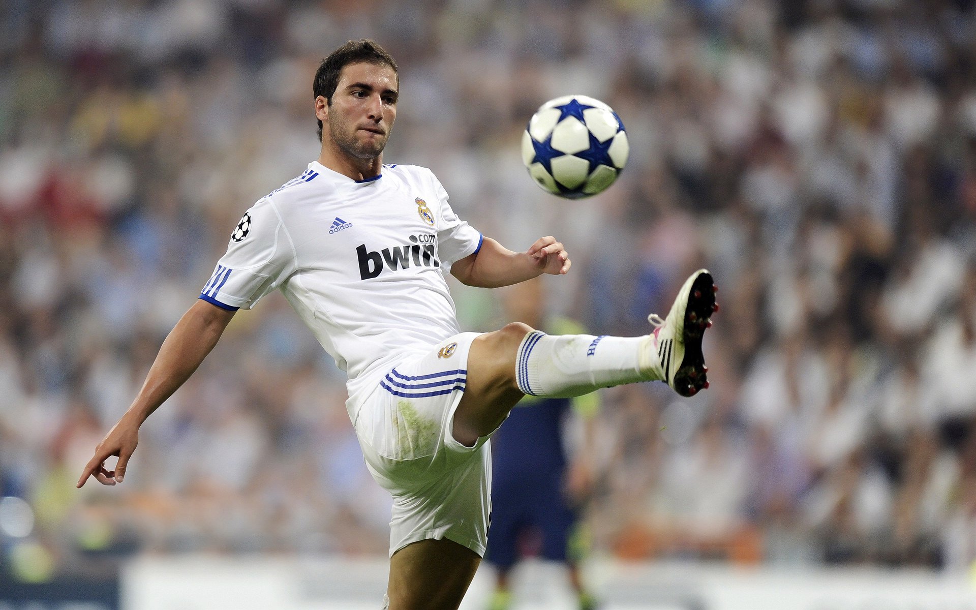 开云电竞-19岁荷兰新带刀后卫荷甲横空出世5大欧洲豪门疯抢，荷兰足球后卫