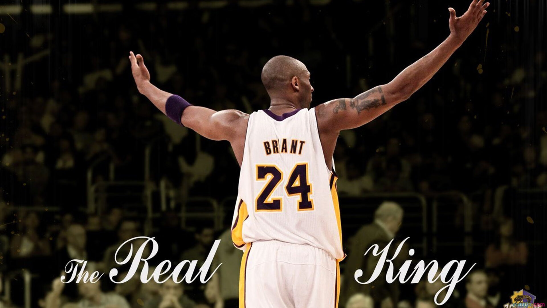 世界杯期间新媒体的传播效果，新媒体体育赛事传播案例